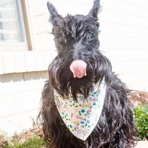KW Bandanas Spring bandana